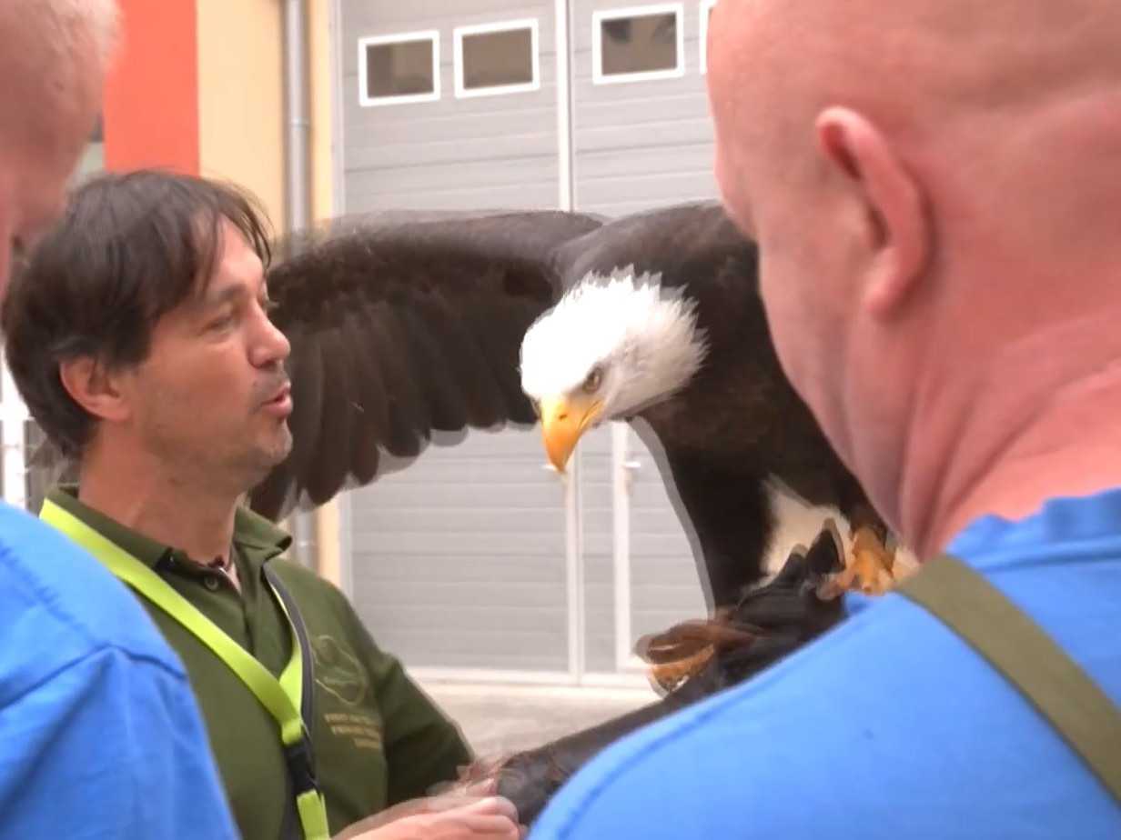 Chovateľský krúžok v banskobystrickom ústave na výkon väzby a trestu je výnimočný.