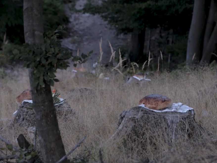 Na snímke pamätník umelkyne Eriky Meszárosovej.