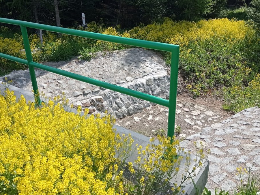 Na snímke barborka obyčajná v TANAP-e.