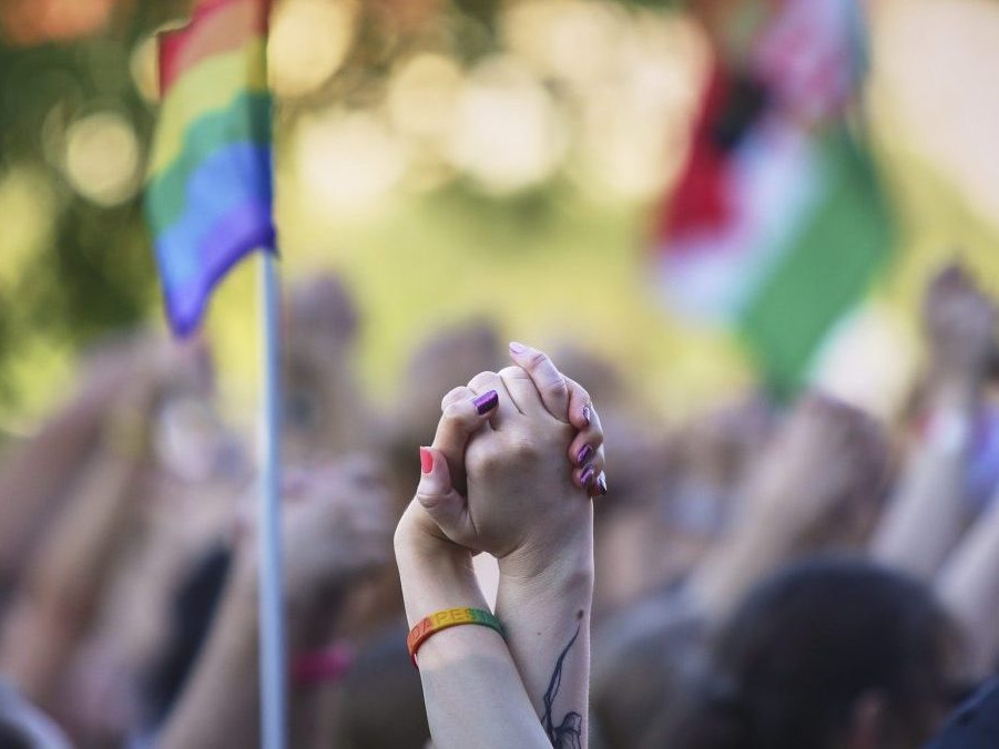 Na snímke sa dvaja ľudia na pochode Pride držia za ruky.