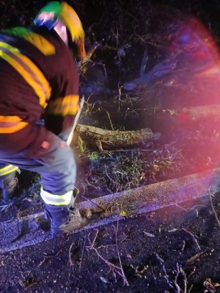 FOTO/VIDEO: Strhnuté strechy, dolámané stromy, zničené autá. Hasiči mali po pondelkových búrkach plné ruky práce