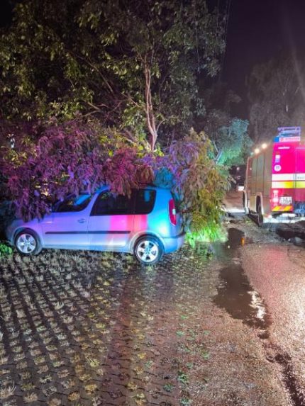 Strom spadnutÃƒÂ½ na zaparkovanÃƒÂ© auto, za nÃƒÂ­m hasiÃ„ÂskÃƒÂ© vozidlo.