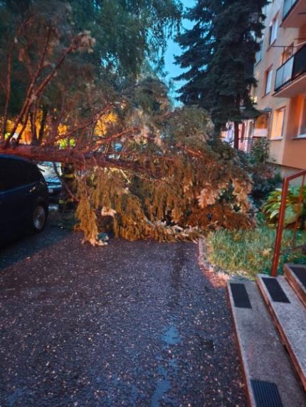 SpadnutÃƒÂ½ strom na auto pred bytovkou.