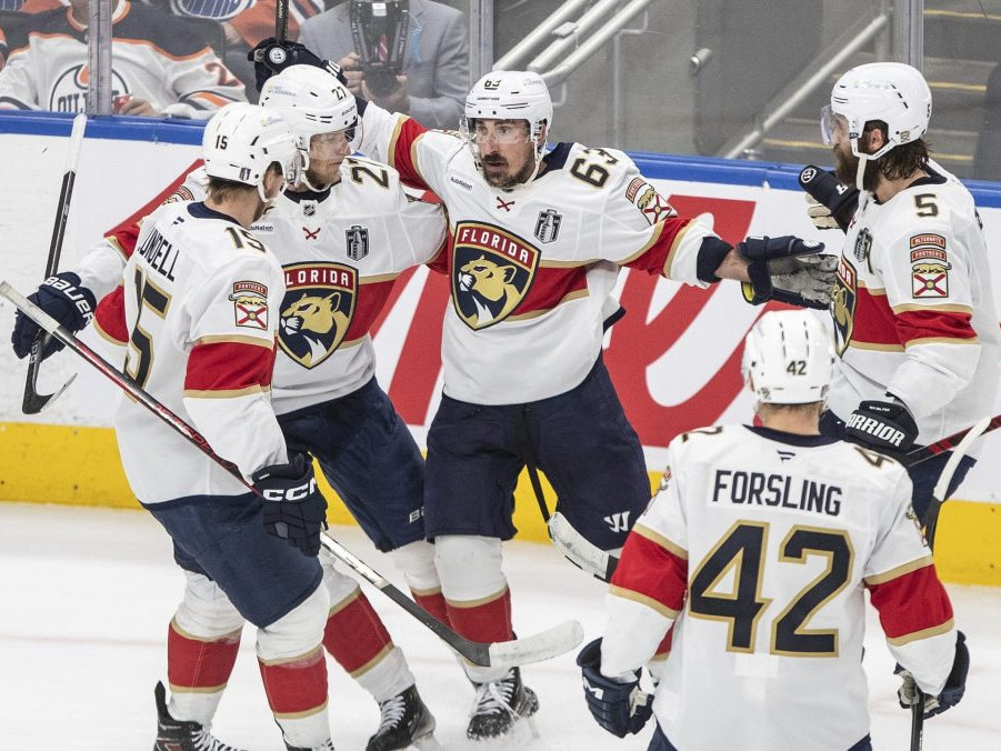 hokejisti sa tešia z gólu