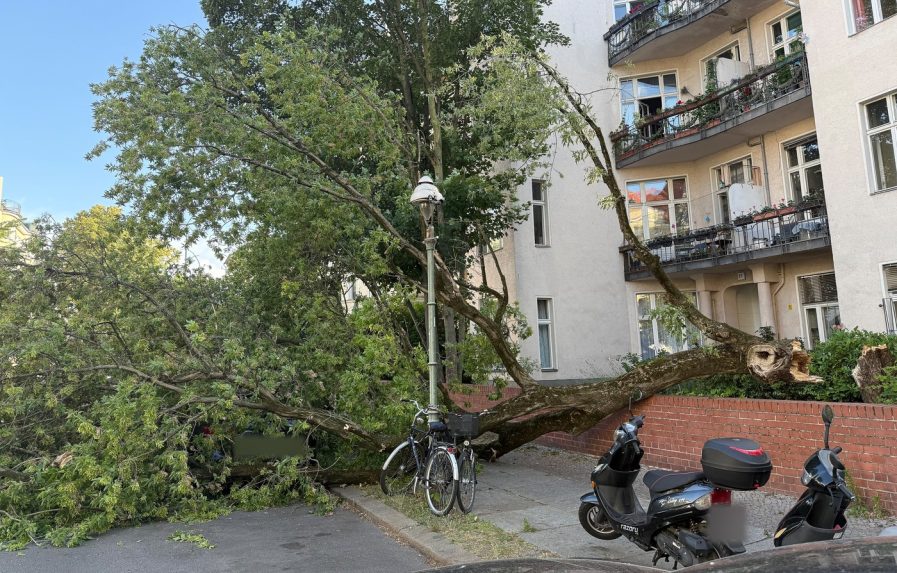 Búrka vyčíňala aj v Nemecku: O život prišli dvaja ľudia, vietor dosahoval silu orkánu