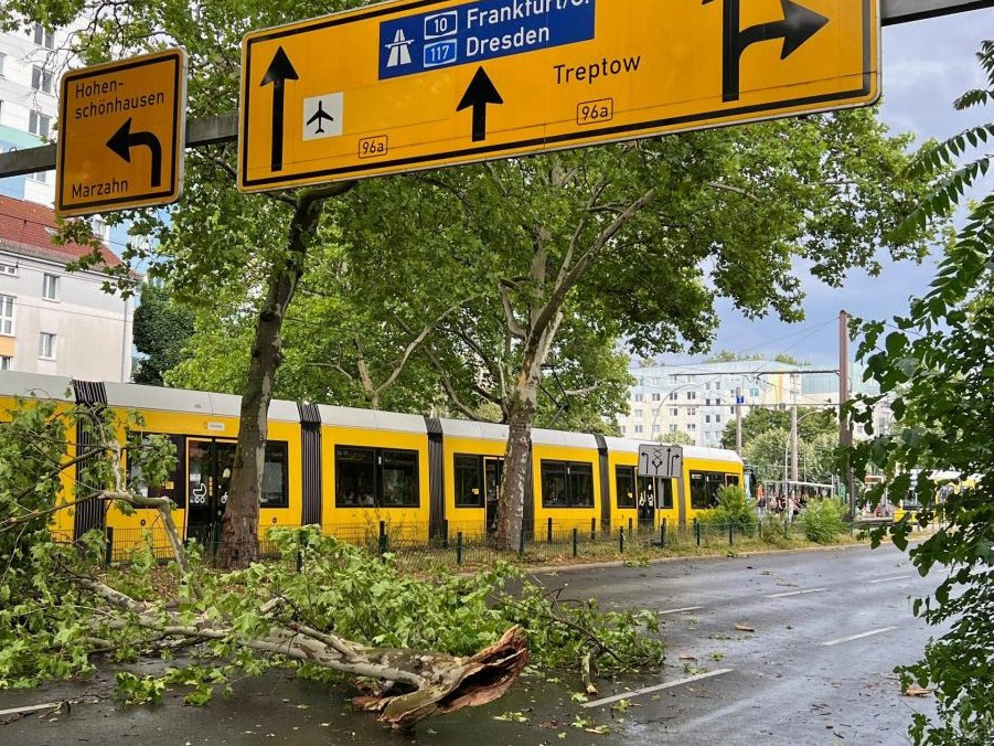 Na snímke padnutý strom na električkovej trati v Nemecku.