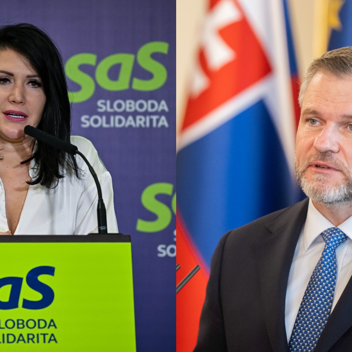 SaS vyzýva prezidenta, aby nepodpísal novelu školského zákona. Strana kritizuje časť o duchovných v nemocniciach