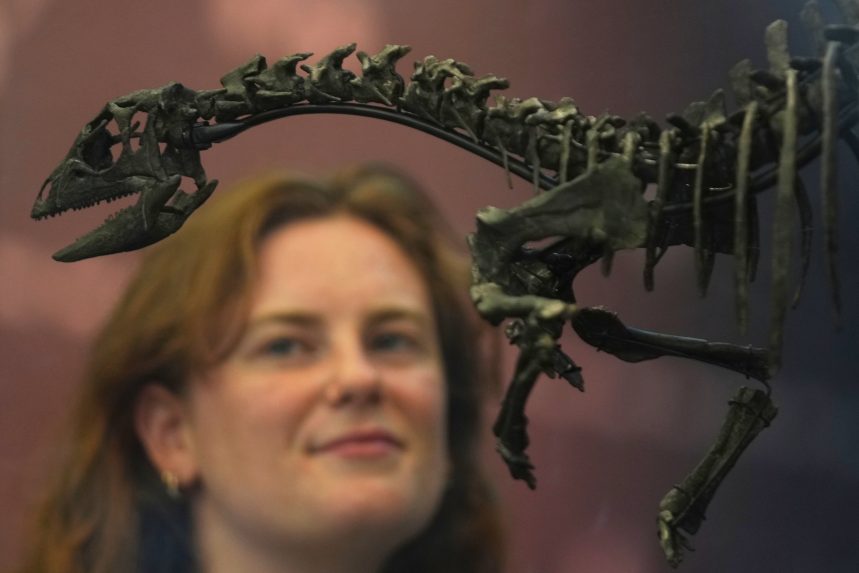 Nový druh dinosaura: Prírodopisné múzeum v Londýne odhalilo záhadný druh prehistorického plaza