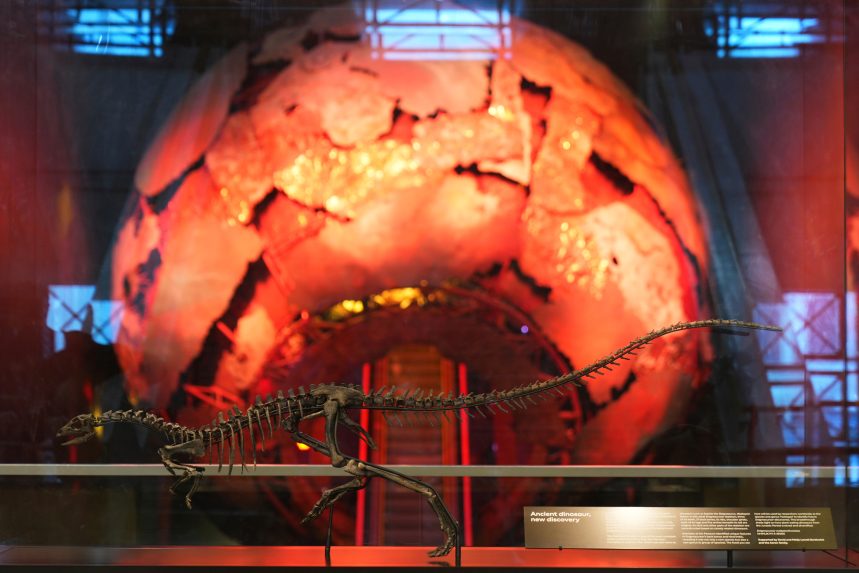 Na snÃƒÂ­mke je kostra dvojnohÃƒÂ©ho dinosaura enigmacursor.