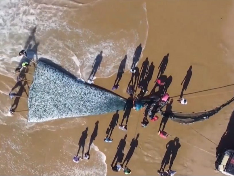 Na snímke afričania počas lovu sardiniek.