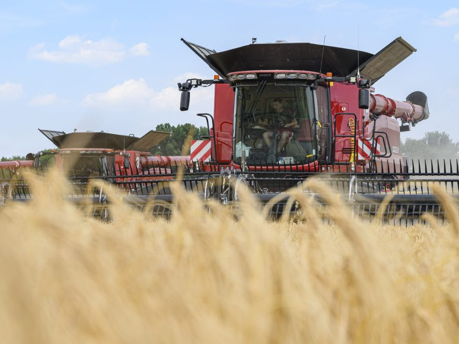 Žatva ozimného jačmeňa na poliach pri Dunajskej Strede.