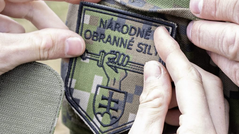 Logo NÃƒÂ¡rodnÃƒÂ½ch ozbrojenÃƒÂ½ch sÃƒÂ­l.