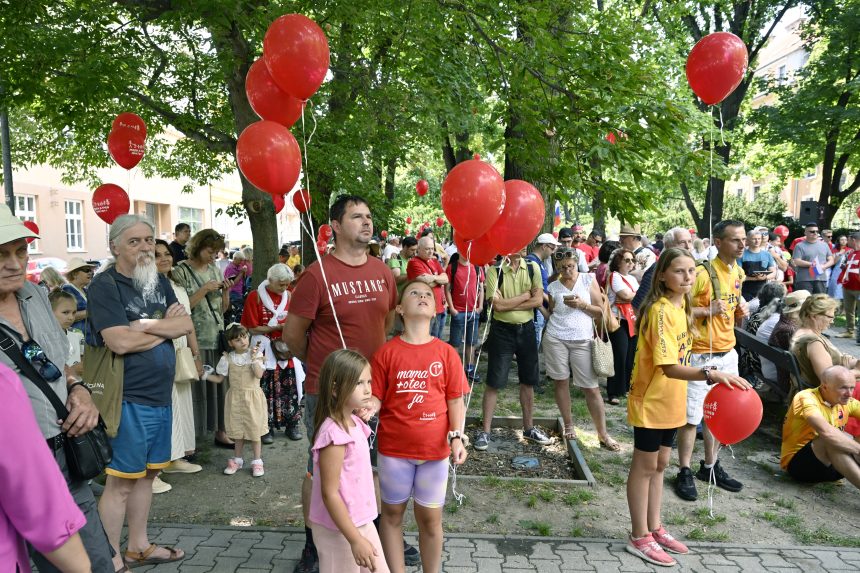 Mottom pochodu Hrdí na rodinu bolo „Manželstvo chráni deti“. Organizátori podporujú zmenu ústavy