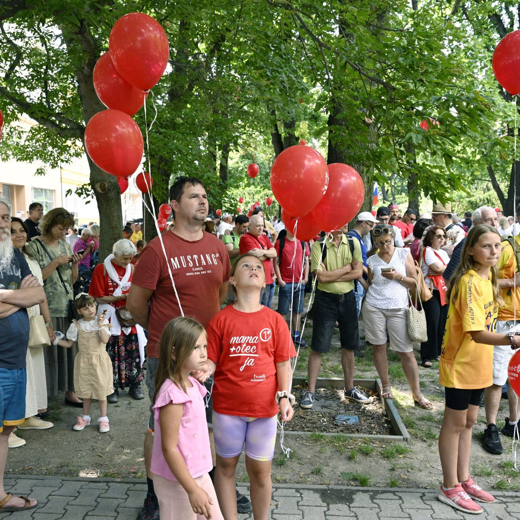 Mottom pochodu Hrdí na rodinu bolo „Manželstvo chráni deti“. Organizátori podporujú zmenu ústavy