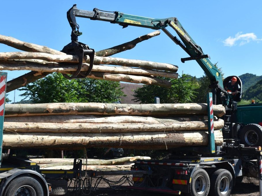 Vývoz drevnej hmoty.