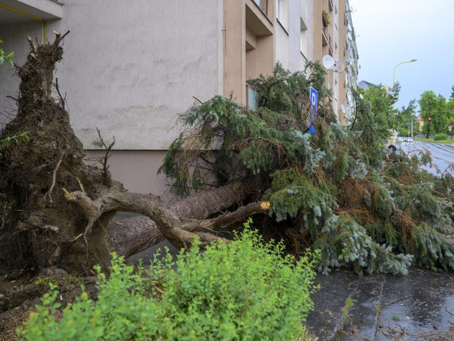Spadnutý strom po intenzívnych búrkach v Prešove.