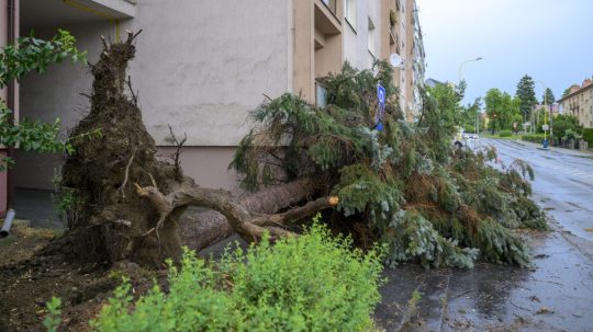 Spadnutý strom po intenzívnych búrkach v Prešove.