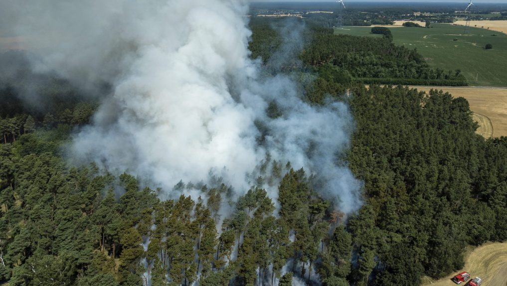 Hasiči v Nemecku bojujú s lesným požiarom. Zo Saska sa rozšíril aj do susedného Brandenburska