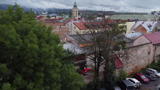 Na snímke je vyschnutý jaseň v Liptovskom Mikuláši z vtáčej perspektívy.