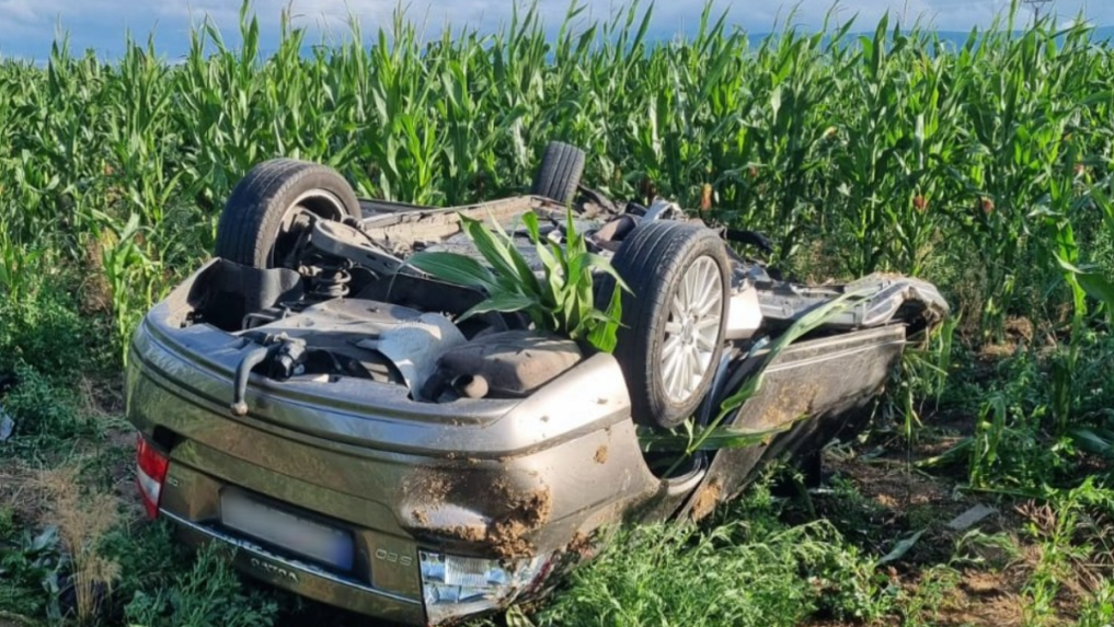 VodiÃ„Â vozidla Volvo S80 ziÃ…Â¡iel mimo cestu a narazil do stromu.