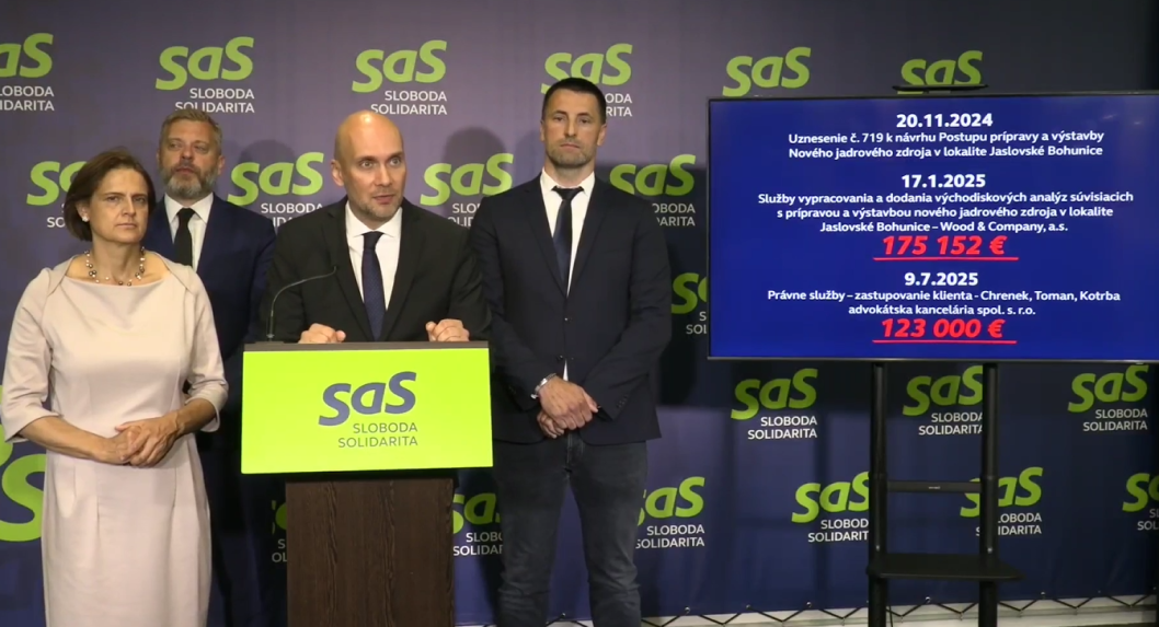 Na snímke tlačová konferencie strany SaS.