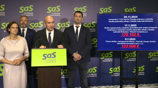Na snímke tlačová konferencie strany SaS.