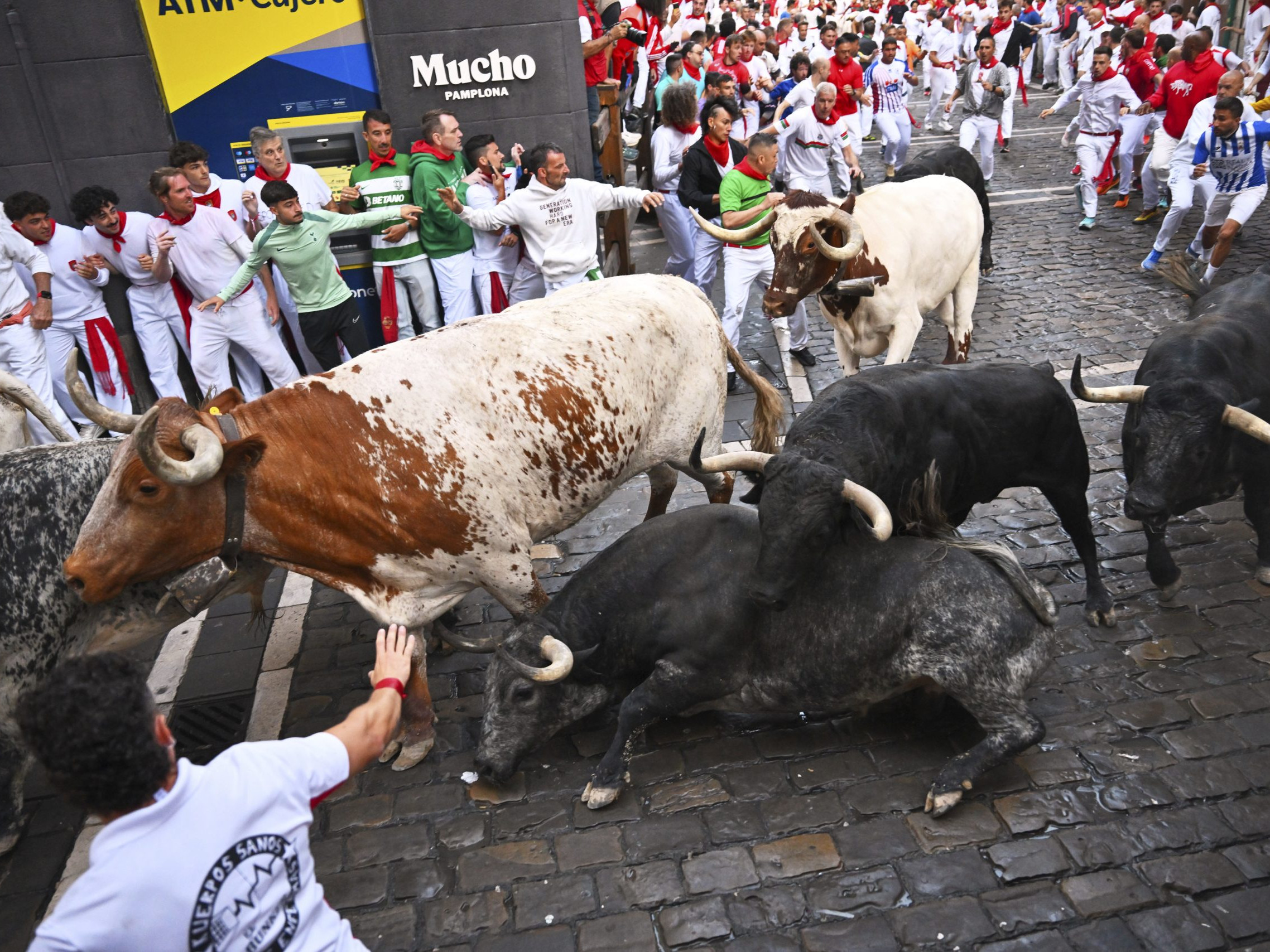 Na snímke býky z farmy Cebada Gago bežia medzi účastníkmi počas druhého dňa behu býkov.