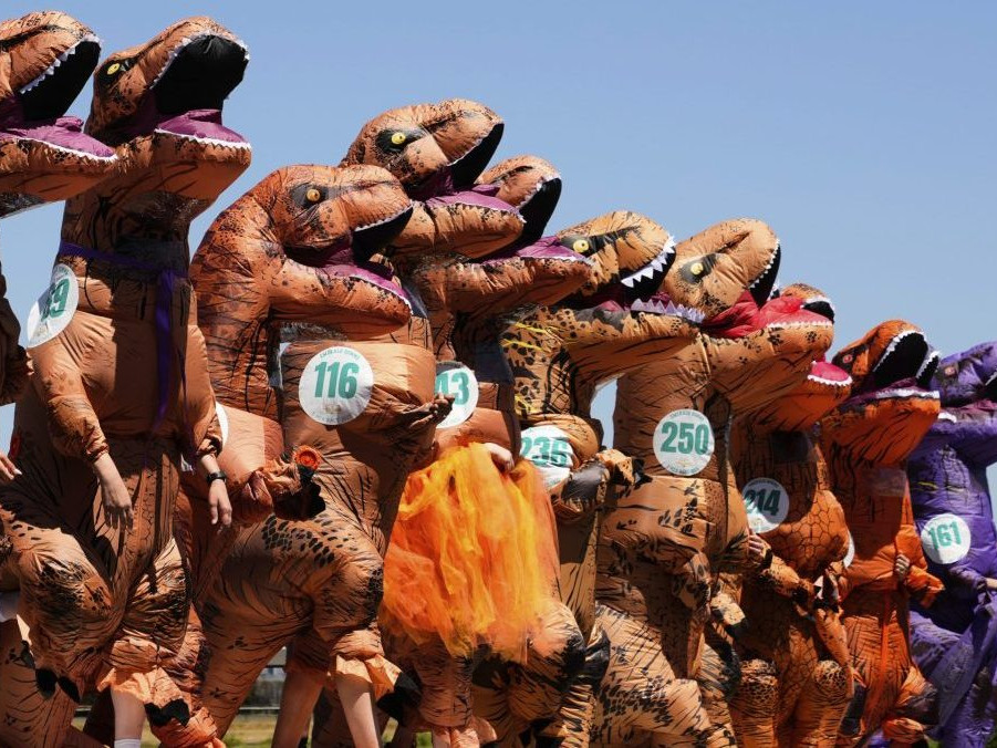 Na snímke súťažiace oblečené v kostýmoch T-Rexa.