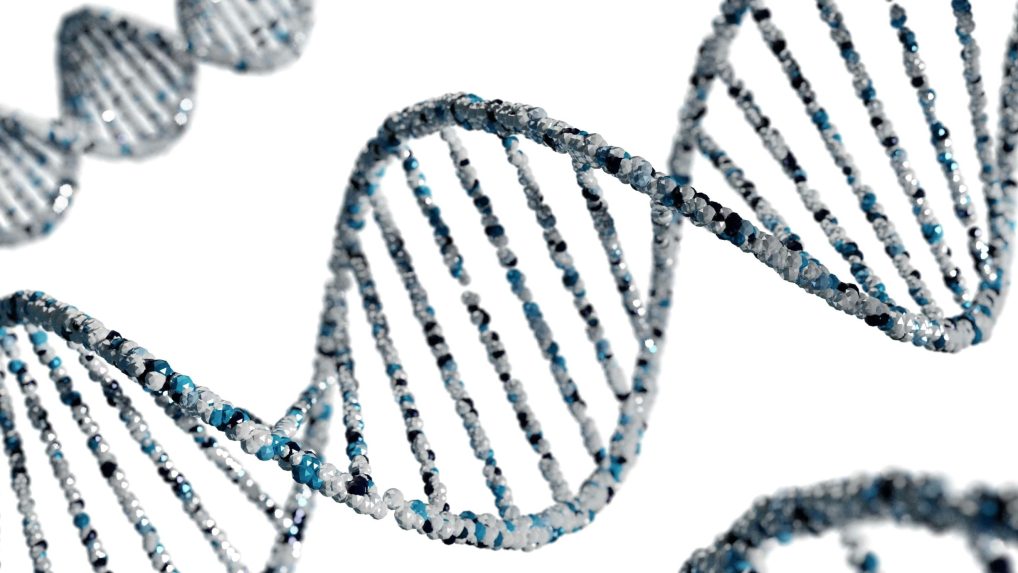 DNA