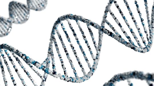 DNA