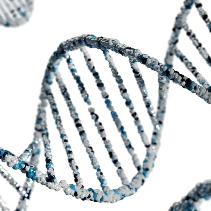 DNA