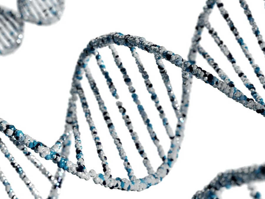 DNA