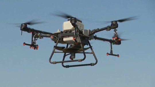 Po dažďoch rastie počet komárov. Bratislava do boja s nimi nasadila dron