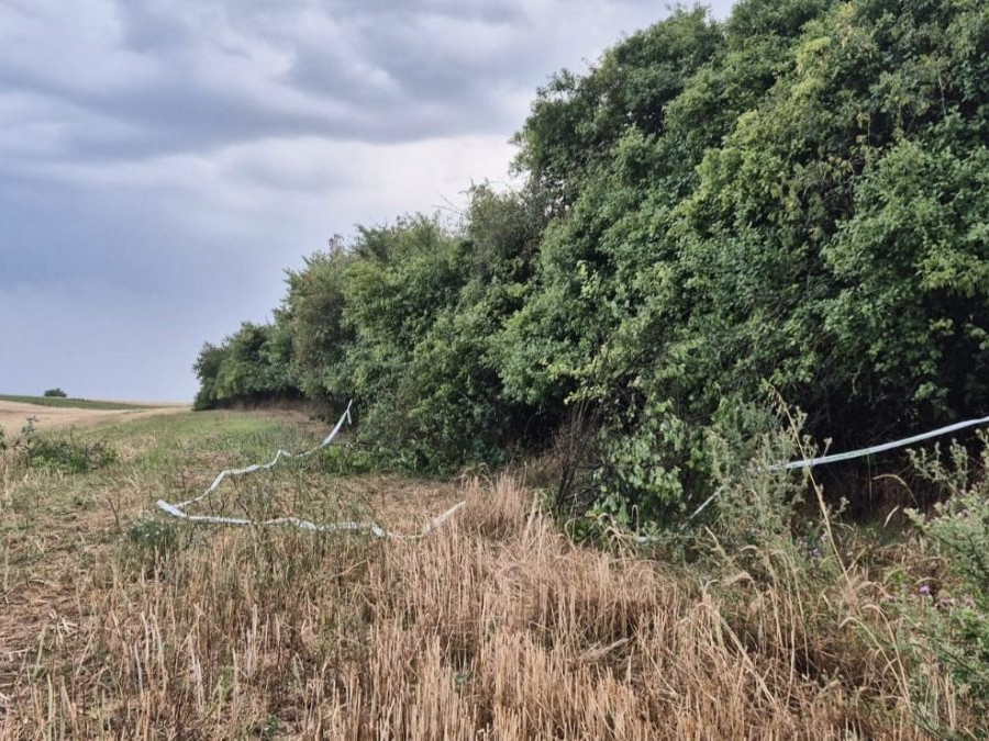 Na snímke je miesto nálezu, pole, pri ktorom rastie les, pozdĺž ktorého je natiahnutá policajná páska.