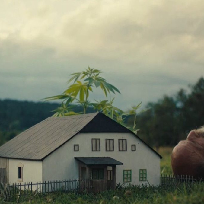Karlove Vary ocenili slovenského režiséra. Krištáľový glóbus si odniesol Miro Remo za film Radšej zošalieť v divočine
