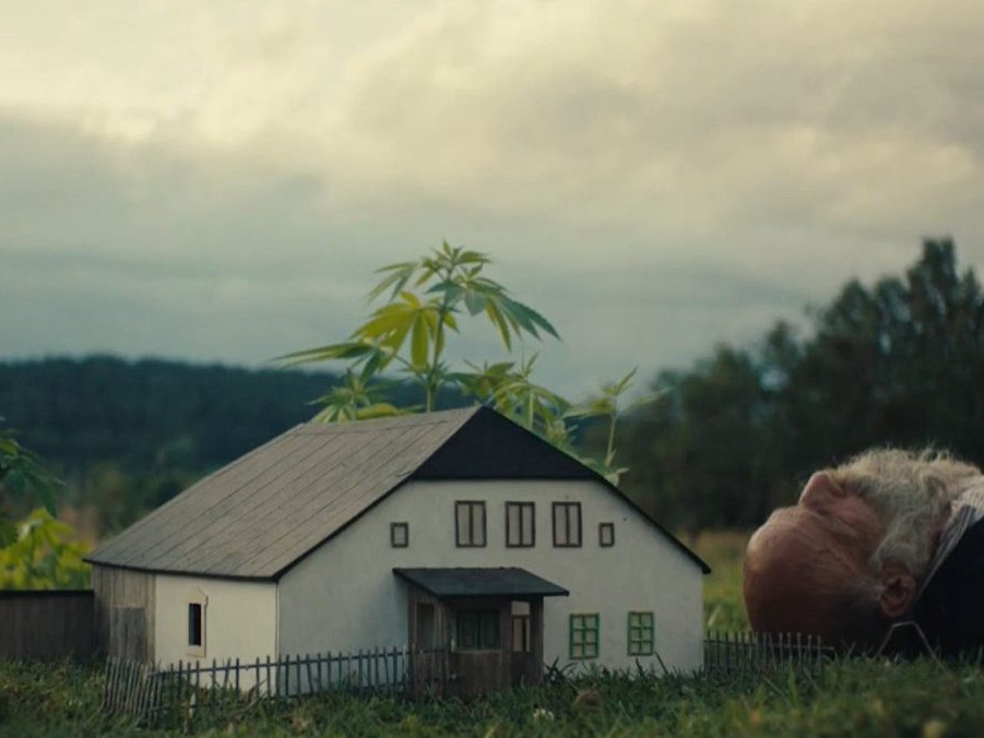 Na ilustračnej snímke záber z filmu Mira Rema.