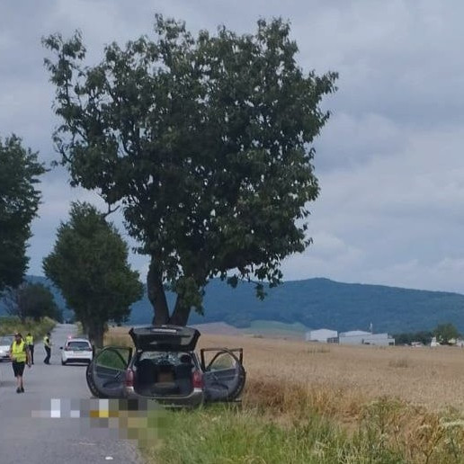 Pri Sabinove narazilo osobné auto do stromu.