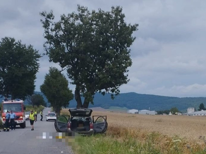 Pri Sabinove narazilo osobné auto do stromu.
