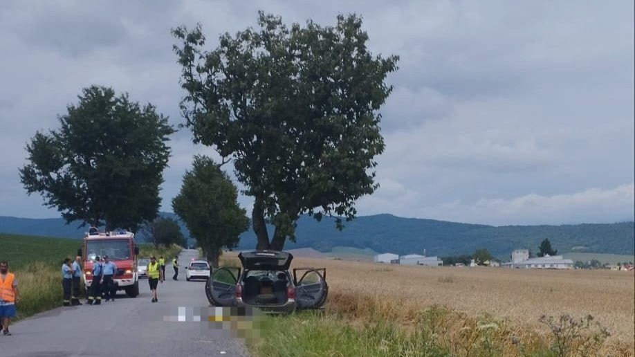 Pri Sabinove narazilo osobné auto do stromu.