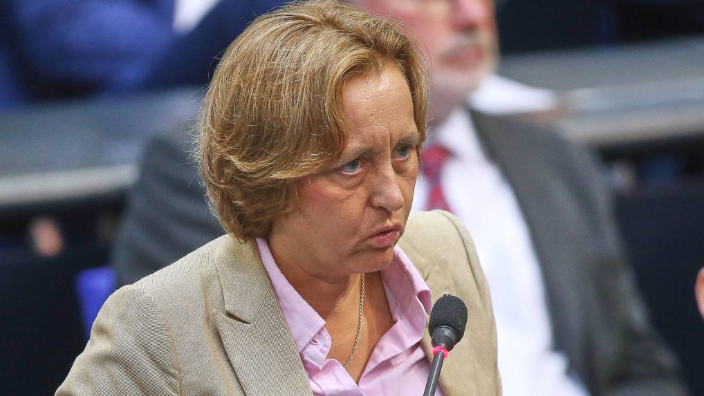 Spoločnosť chcú rozdeliť ešte viac, inšpirujú sa Trumpom: Politico zistil, ako chce nemecká krajná pravica získať moc