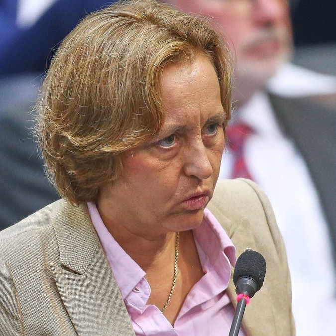 Spoločnosť chcú rozdeliť ešte viac, inšpirujú sa Trumpom: Politico zistil, ako chce nemecká krajná pravica získať moc