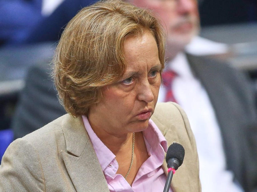 Spoločnosť chcú rozdeliť ešte viac, inšpirujú sa Trumpom: Politico zistil, ako chce nemecká krajná pravica získať moc