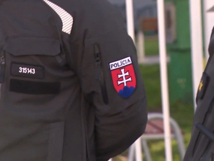 Na ilustračnej snímke policajt.