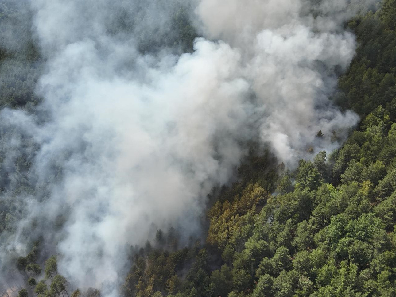 Požiar lesa v obci Richnava
