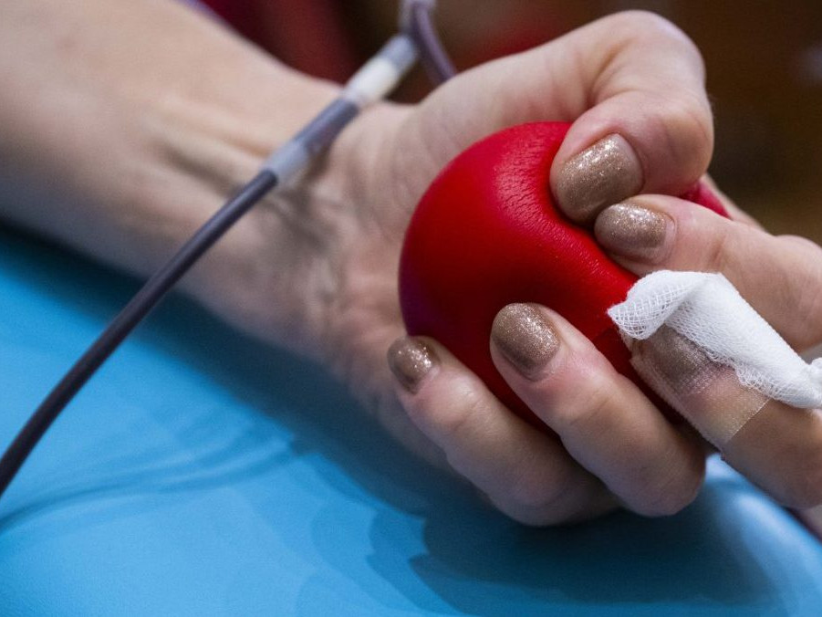 Na snímke ruka darkyne, ktorá darovala krv.