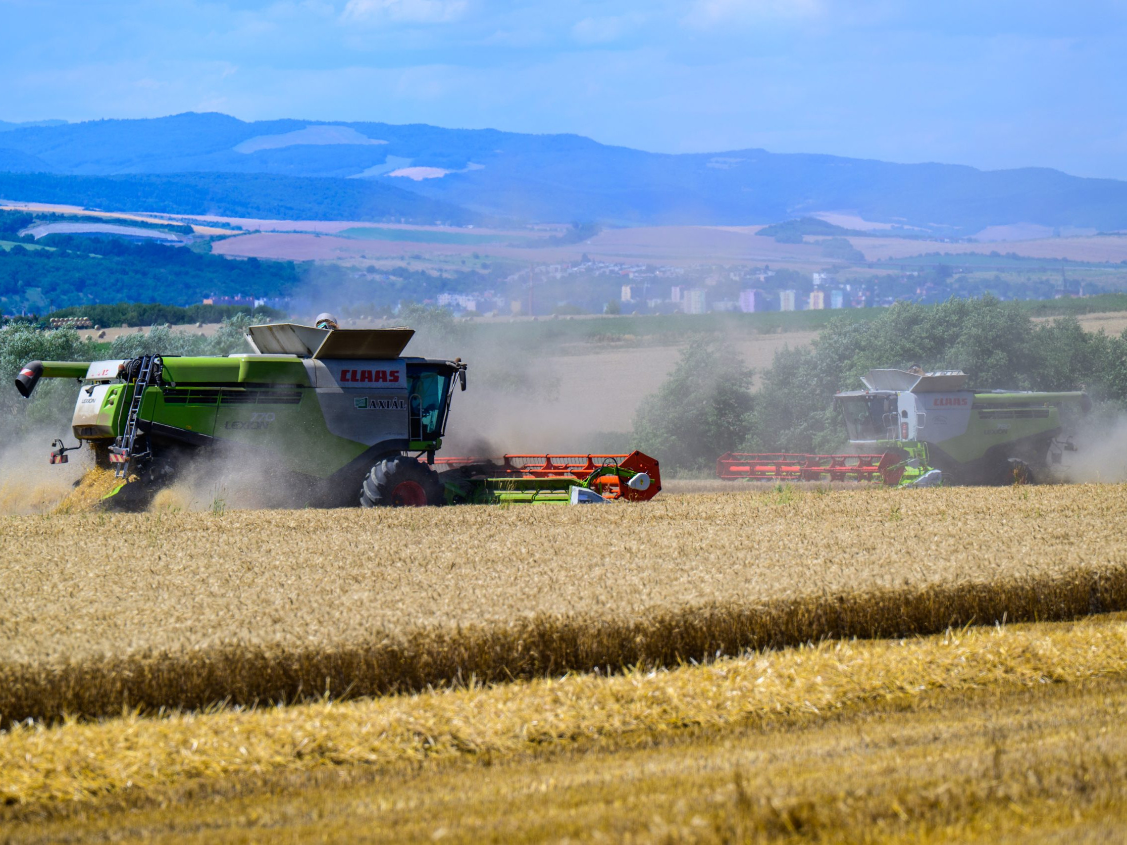 Na snímke prebieha žatva pšenice v Dulovej Vsi.
