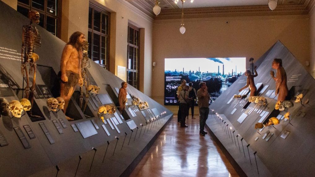 Na snímke expozícia fosílií 3,2 milióna rokov starých predkov človeka.