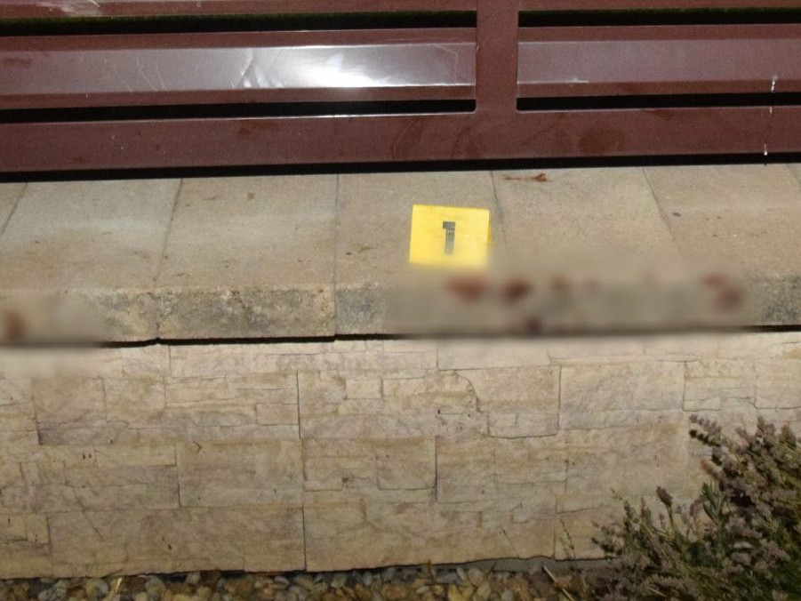 Na snímke miesto, na ktorom pes zaútočil na deti.