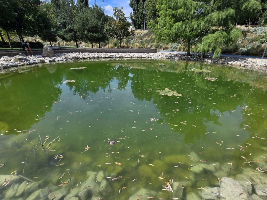 Na snímke jazierko v parku Jama.