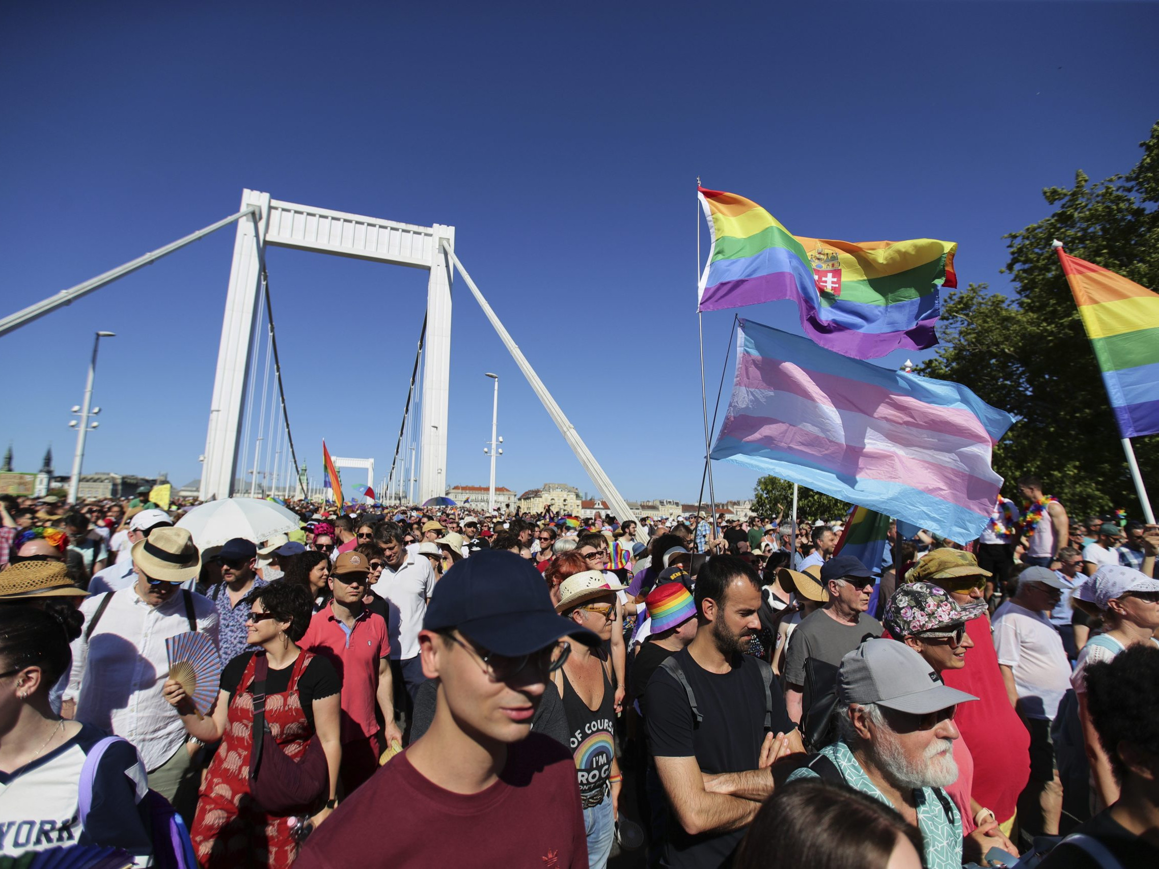 Na snímke účastníci Pridu kráčajú cez most v Budapešti.